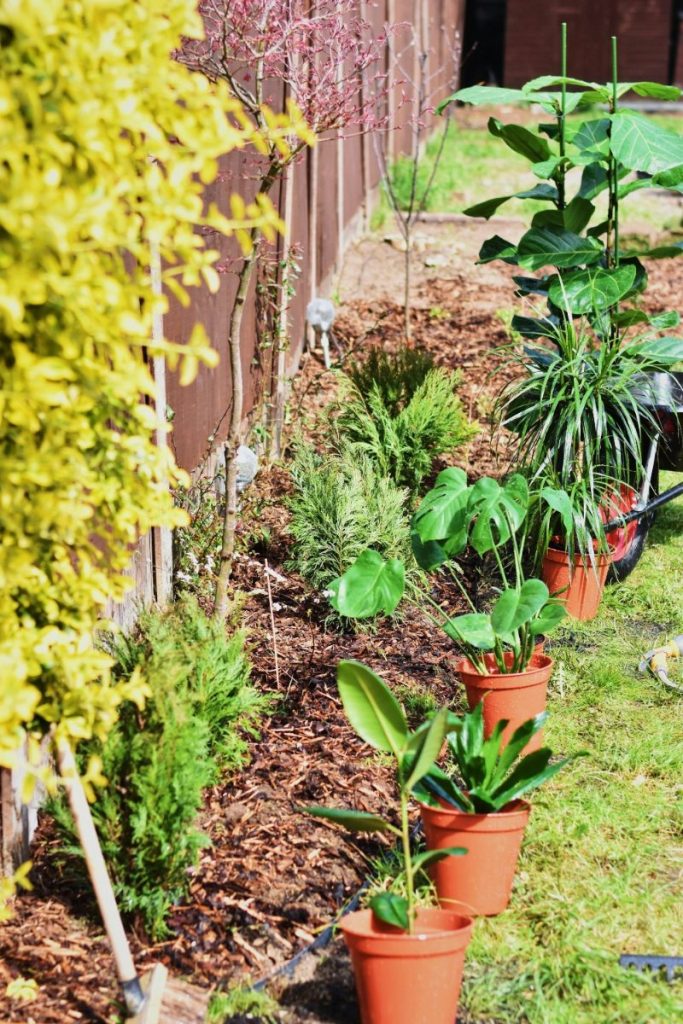 Beccy Birch Gardening