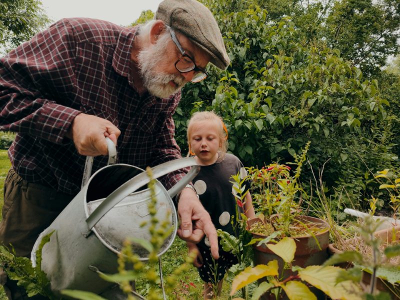 Beccy Birch Gardening
