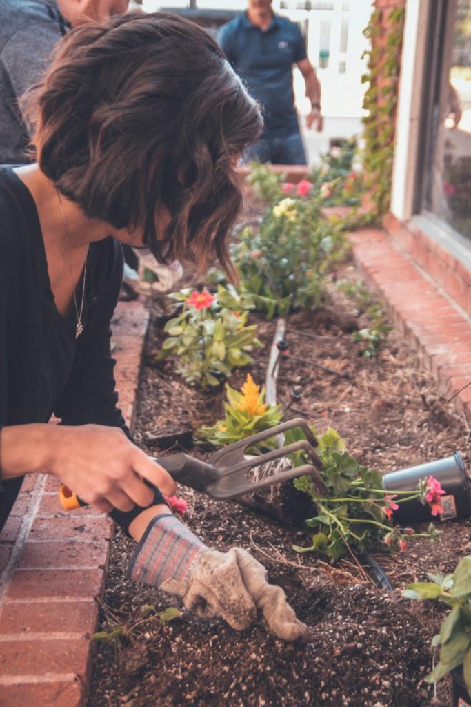 Beccy Birch Gardening
