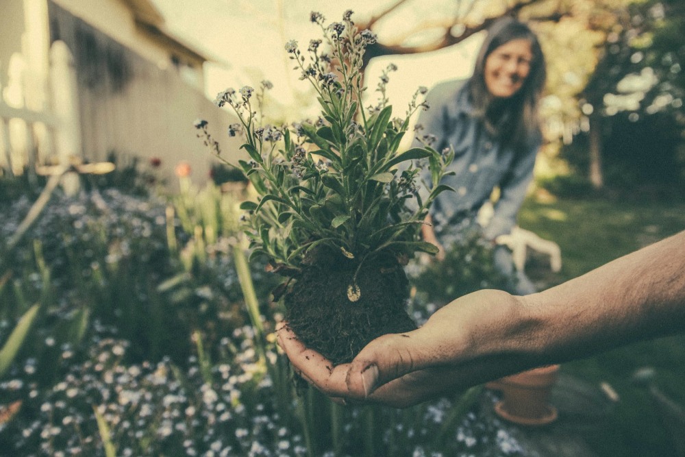 Beccy Birch Gardening