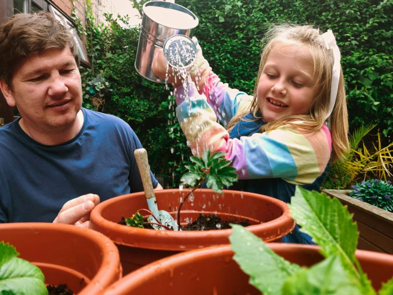 Beccy Birch Gardening